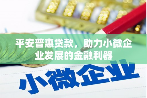 延安平安普惠贷款，助力小微企业发展的金融利器