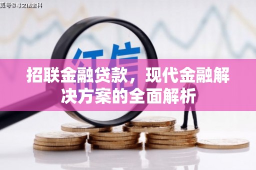 双河招联金融贷款，现代金融解决方案的全面解析
