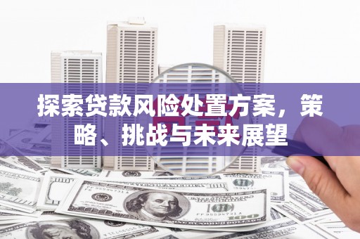 温泉探索贷款风险处置方案，策略、挑战与未来展望