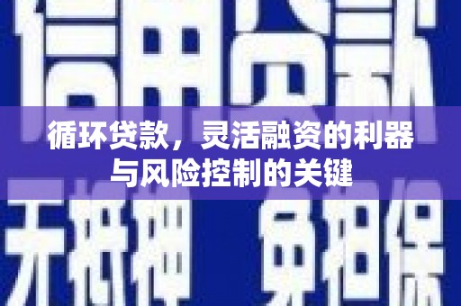 徐闻循环贷款，灵活融资的利器与风险控制的关键