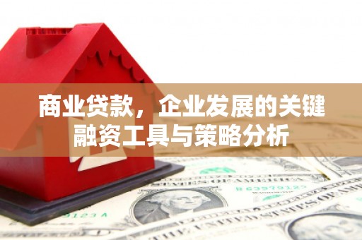 务川商业贷款，企业发展的关键融资工具与策略分析
