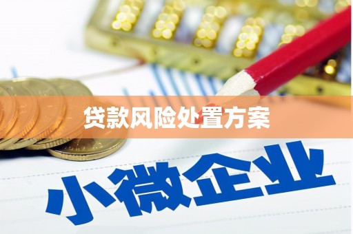 青河贷款风险处置方案