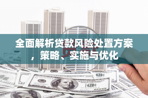 凤山全面解析贷款风险处置方案，策略、实施与优化