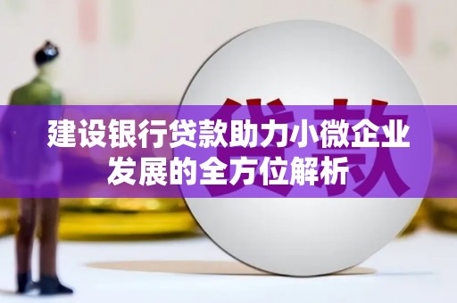 剑川建设银行贷款助力小微企业发展的全方位解析