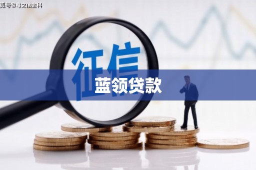 天长蓝领贷款