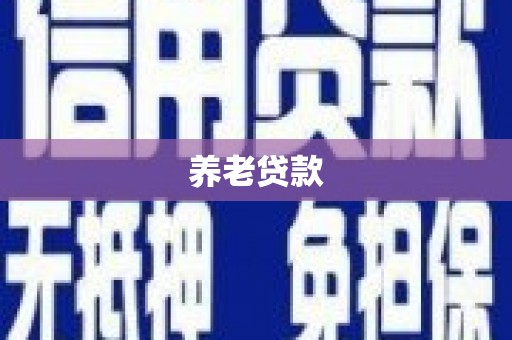利辛养老贷款