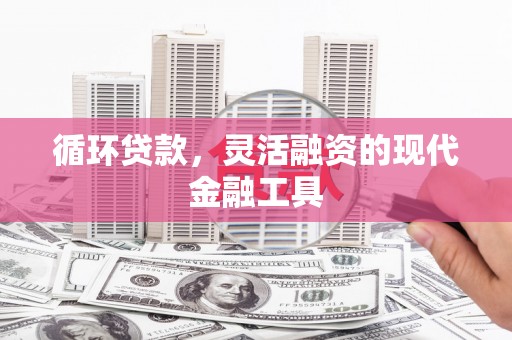 凤凰循环贷款，灵活融资的现代金融工具