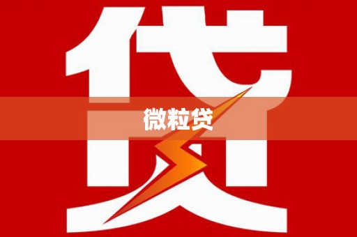 孟津微粒贷