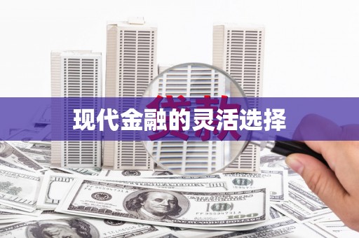 镇雄现代金融的灵活选择