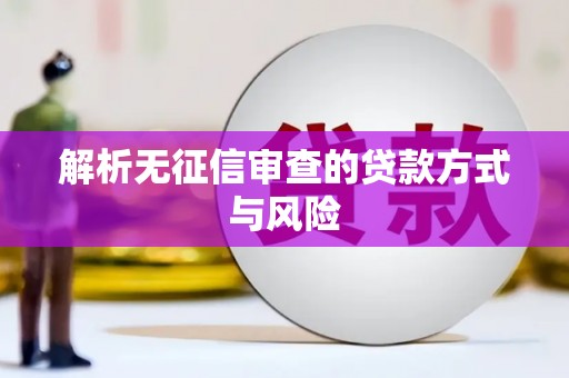 凤县解析无征信审查的贷款方式与风险