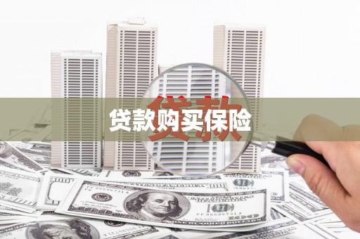 大邑贷款购买保险