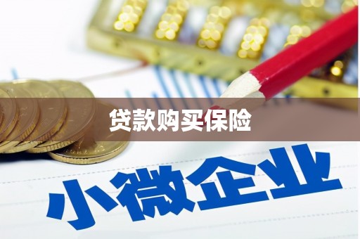 汝阳贷款购买保险