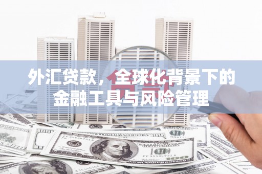 八公山外汇贷款，全球化背景下的金融工具与风险管理