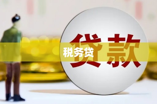 勐海税务贷